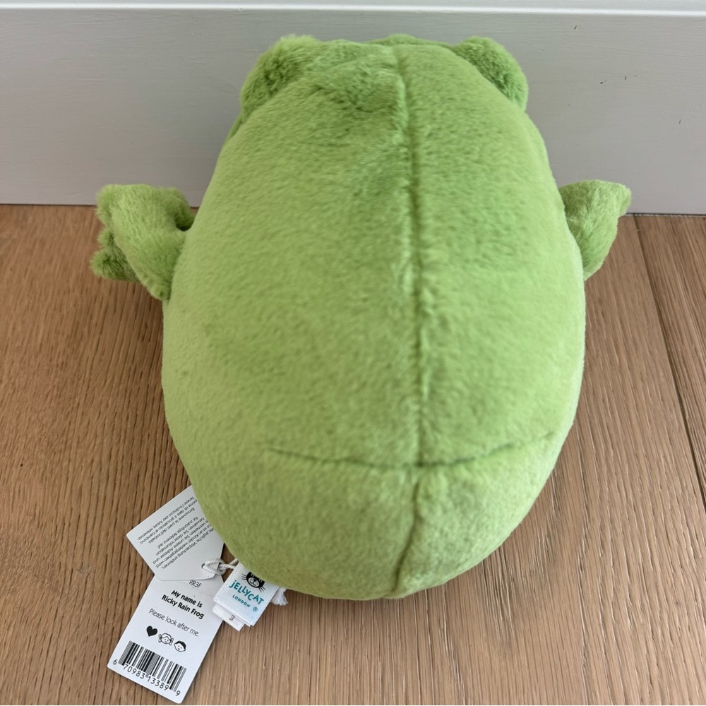 NWT Jellycat Ricky Rain Frog - Picture 2 of 3